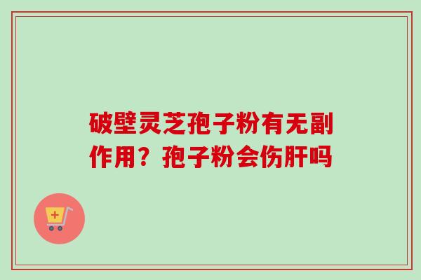 破壁灵芝孢子粉有无副作用？孢子粉会伤肝吗