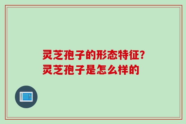 灵芝孢子的形态特征?灵芝孢子是怎么样的 灵芝孢子的形态特征?灵芝孢子是怎么样的