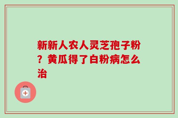 新新人农人灵芝孢子粉？黄瓜得了白粉病怎么治