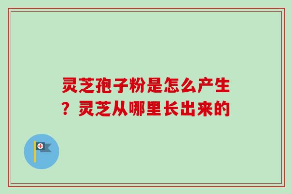 灵芝孢子粉是怎么产生？灵芝从哪里长出来的