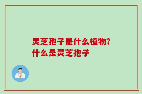 灵芝孢子是什么植物？什么是灵芝孢子