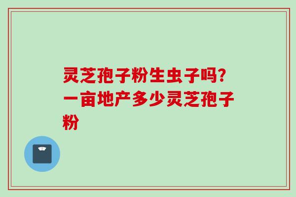 灵芝孢子粉生虫子吗？一亩地产多少灵芝孢子粉