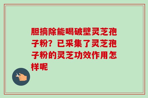 胆摘除能喝破壁灵芝孢子粉？已采集了灵芝孢子粉的灵芝功效作用怎样呢