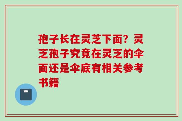 孢子长在灵芝下面？灵芝孢子究竟在灵芝的伞面还是伞底有相关参考书籍