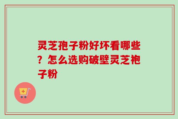 灵芝孢子粉好坏看哪些？怎么选购破壁灵芝袍子粉