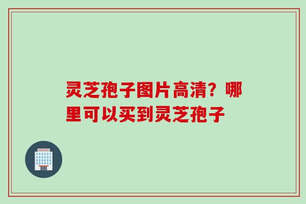 灵芝孢子图片高清?哪里可以买到灵芝孢子 灵芝孢子图片高清?哪里可以买到灵芝孢子