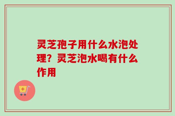 灵芝孢子用什么水泡处理？灵芝泡水喝有什么作用