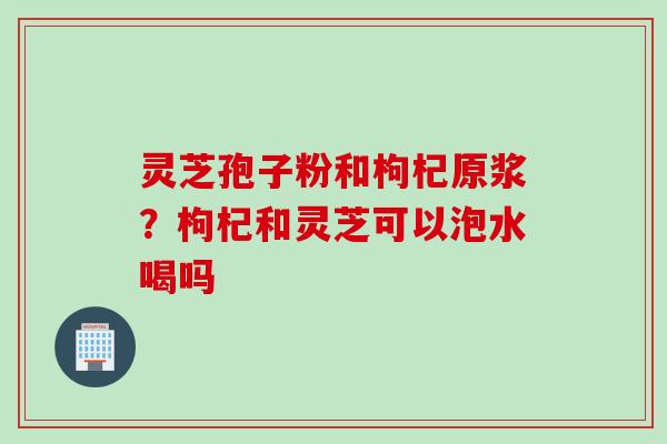 灵芝孢子粉和枸杞原浆？枸杞和灵芝可以泡水喝吗