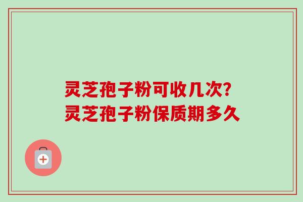 灵芝孢子粉可收几次？灵芝孢子粉保质期多久