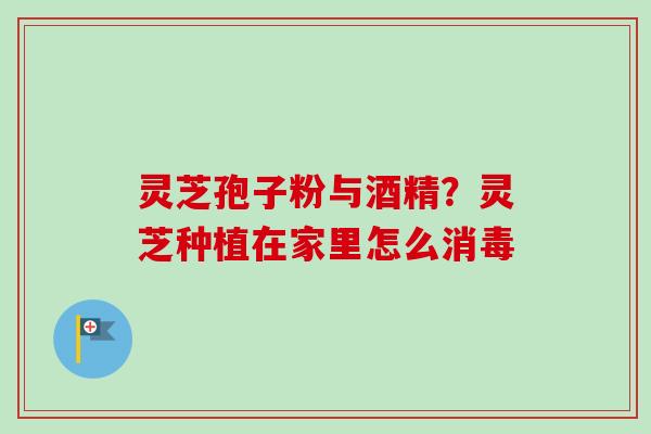 灵芝孢子粉与酒精？灵芝种植在家里怎么消毒