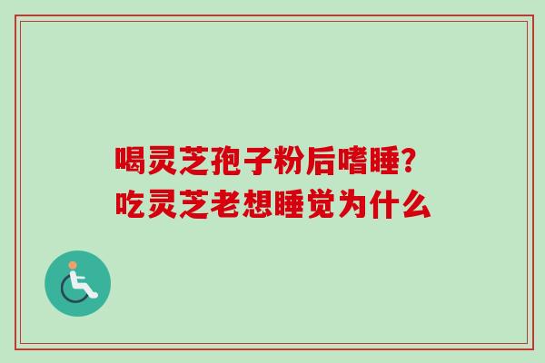 喝灵芝孢子粉后嗜睡？吃灵芝老想睡觉为什么