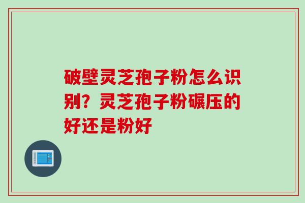 破壁灵芝孢子粉怎么识别？灵芝孢子粉碾压的好还是粉好