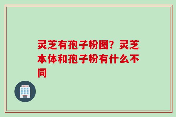 灵芝有孢子粉图?灵芝本体和孢子粉有什么不同 灵芝有孢子粉图?灵芝本体和孢子粉有什么不同