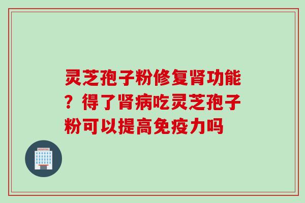 灵芝孢子粉修复肾功能？得了肾病吃灵芝孢子粉可以提高免疫力吗