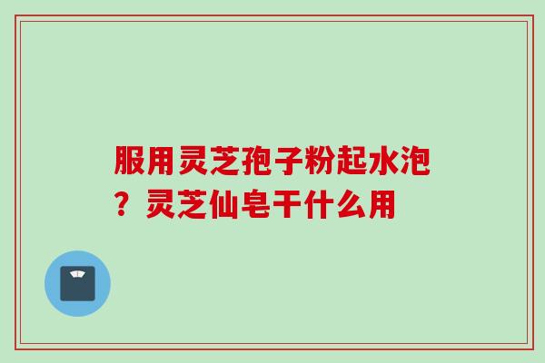 服用灵芝孢子粉起水泡？灵芝仙皂干什么用