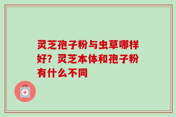 灵芝孢子粉与虫草哪样好?灵芝本体和孢子粉有什么不同 灵芝孢子粉与虫草哪样好?灵芝本体和孢子粉有什么不同