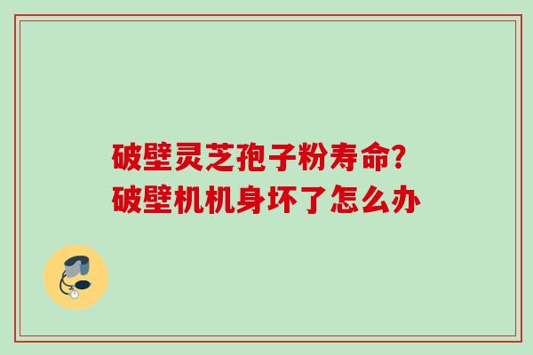 破壁灵芝孢子粉寿命？破壁机机身坏了怎么办