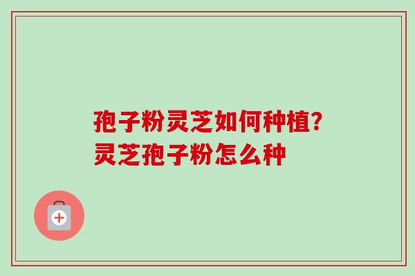 孢子粉灵芝如何种植？灵芝孢子粉怎么种