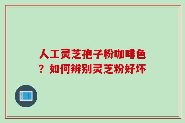 人工灵芝孢子粉咖啡色？如何辨别灵芝粉好坏