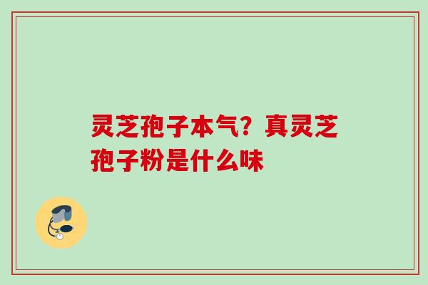 灵芝孢子本气？真灵芝孢子粉是什么味