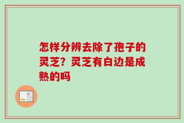 怎样分辨去除了孢子的灵芝？灵芝有白边是成熟的吗