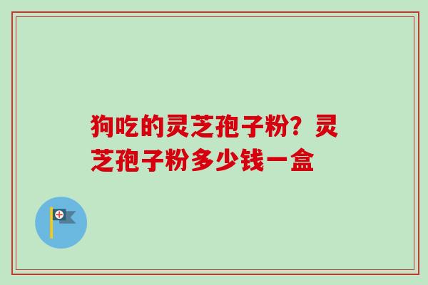 狗吃的灵芝孢子粉？灵芝孢子粉多少钱一盒