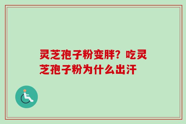 灵芝孢子粉变胖？吃灵芝孢子粉为什么出汗