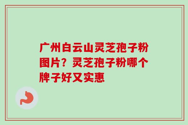 广州白云山灵芝孢子粉图片？灵芝孢子粉哪个牌子好又实惠