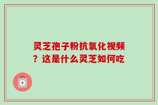 灵芝孢子粉抗氧化视频？这是什么灵芝如何吃