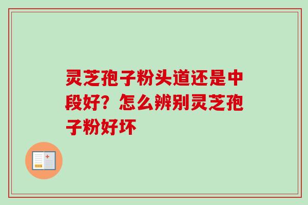 灵芝孢子粉头道还是中段好？怎么辨别灵芝孢子粉好坏
