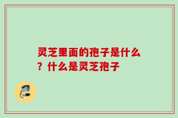 灵芝里面的孢子是什么？什么是灵芝孢子