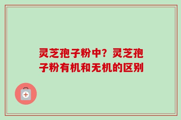 灵芝孢子粉中？灵芝孢子粉有机和无机的区别