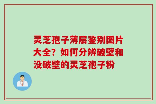 灵芝孢子薄层鉴别图片大全？如何分辨破壁和没破壁的灵芝孢子粉
