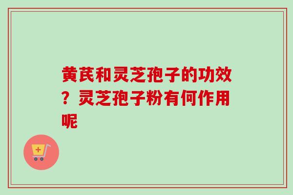 黄芪和灵芝孢子的功效？灵芝孢子粉有何作用呢