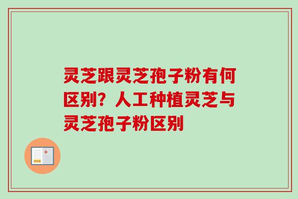 灵芝跟灵芝孢子粉有何区别？人工种植灵芝与灵芝孢子粉区别