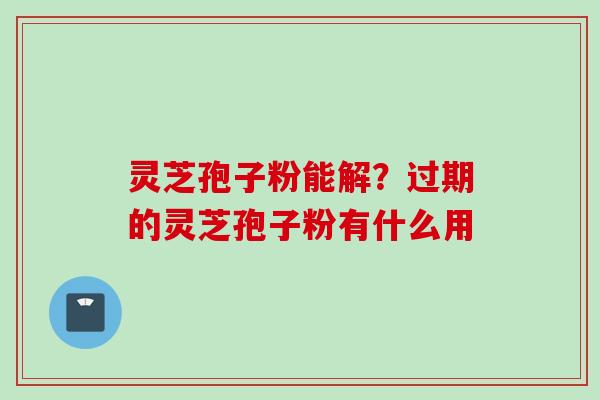 灵芝孢子粉能解？过期的灵芝孢子粉有什么用