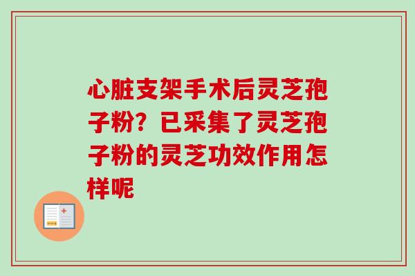 心脏支架手术后灵芝孢子粉？已采集了灵芝孢子粉的灵芝功效作用怎样呢