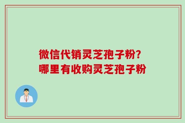 微信代销灵芝孢子粉？哪里有收购灵芝孢子粉