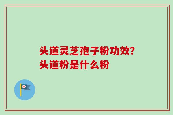 头道灵芝孢子粉功效？头道粉是什么粉