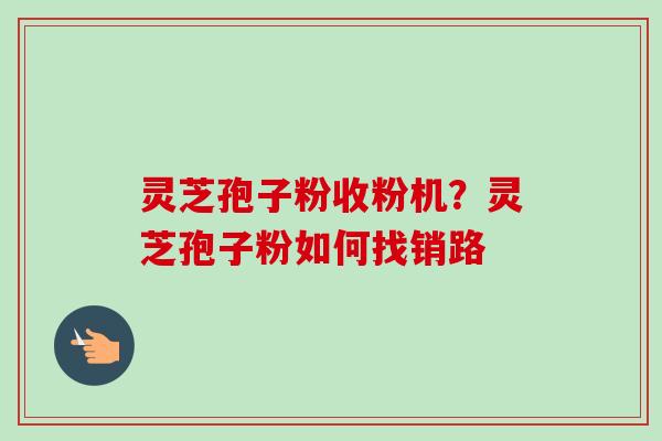 灵芝孢子粉收粉机？灵芝孢子粉如何找销路