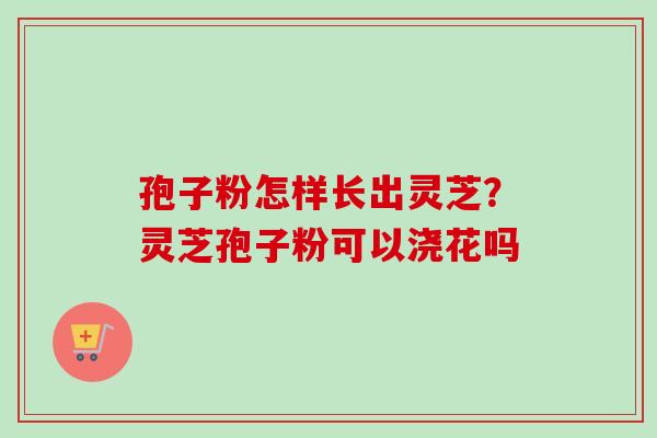 孢子粉怎样长出灵芝？灵芝孢子粉可以浇花吗