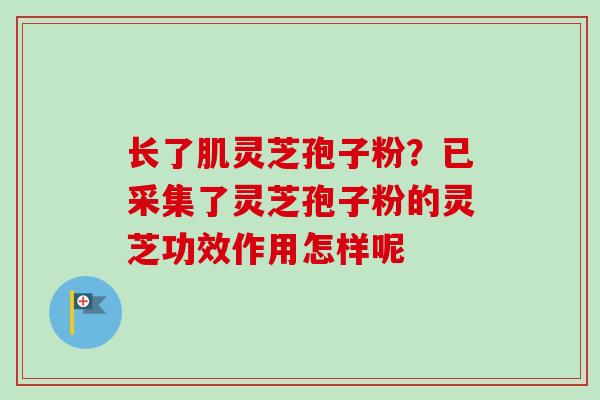长了肌灵芝孢子粉？已采集了灵芝孢子粉的灵芝功效作用怎样呢