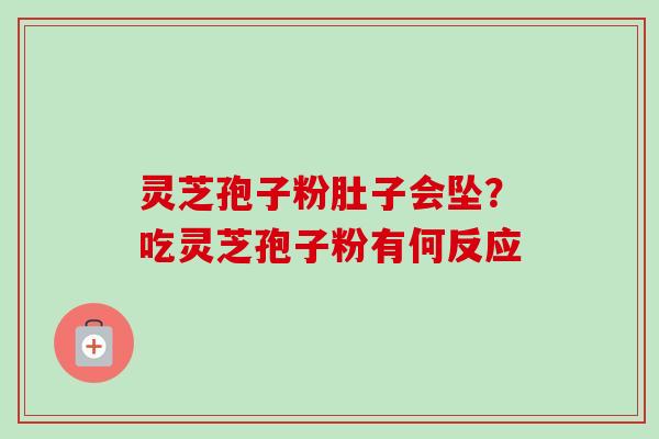 灵芝孢子粉肚子会坠？吃灵芝孢子粉有何反应