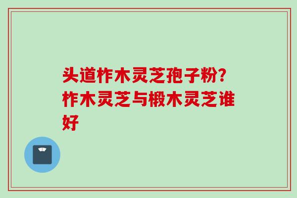 头道柞木灵芝孢子粉?柞木灵芝与椴木灵芝谁好 头道柞木灵芝孢子粉?柞木灵芝与椴木灵芝谁好