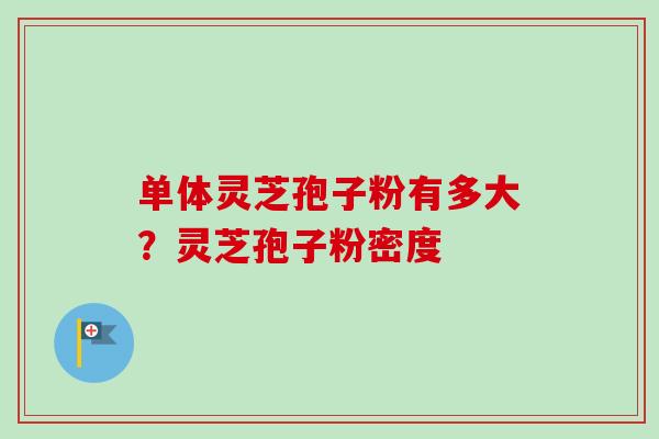 单体灵芝孢子粉有多大？灵芝孢子粉密度