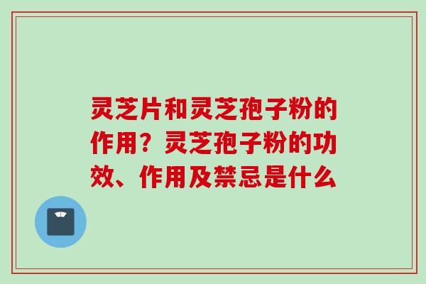 灵芝片和灵芝孢子粉的作用？灵芝孢子粉的功效、作用及禁忌是什么