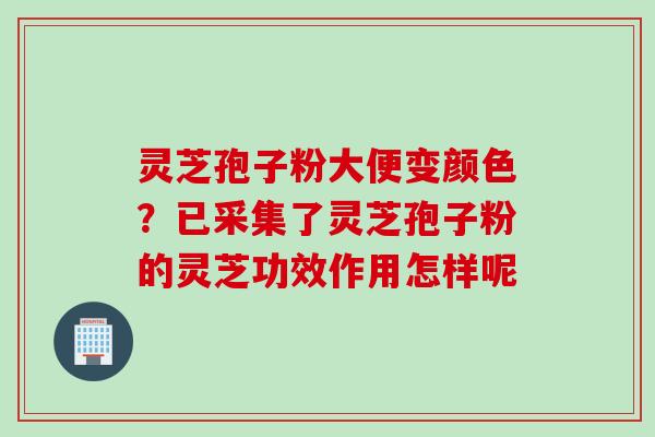 灵芝孢子粉大便变颜色？已采集了灵芝孢子粉的灵芝功效作用怎样呢