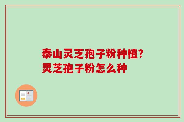 泰山灵芝孢子粉种植？灵芝孢子粉怎么种