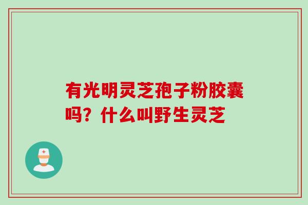 有光明灵芝孢子粉胶囊吗？什么叫野生灵芝
