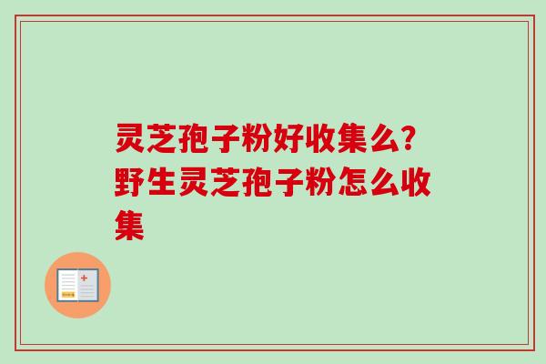 灵芝孢子粉好收集么？野生灵芝孢子粉怎么收集